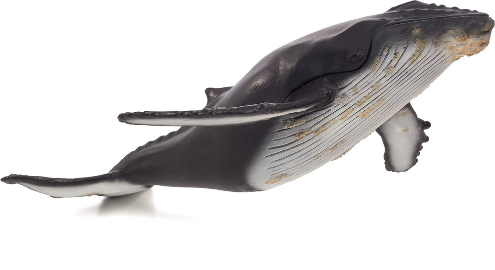 Pukkelhval legetøj stor, 32x22x7,8 cm – anatomisk, phthalatfri børnefigur, anbefalet fra 3 år – Mojo