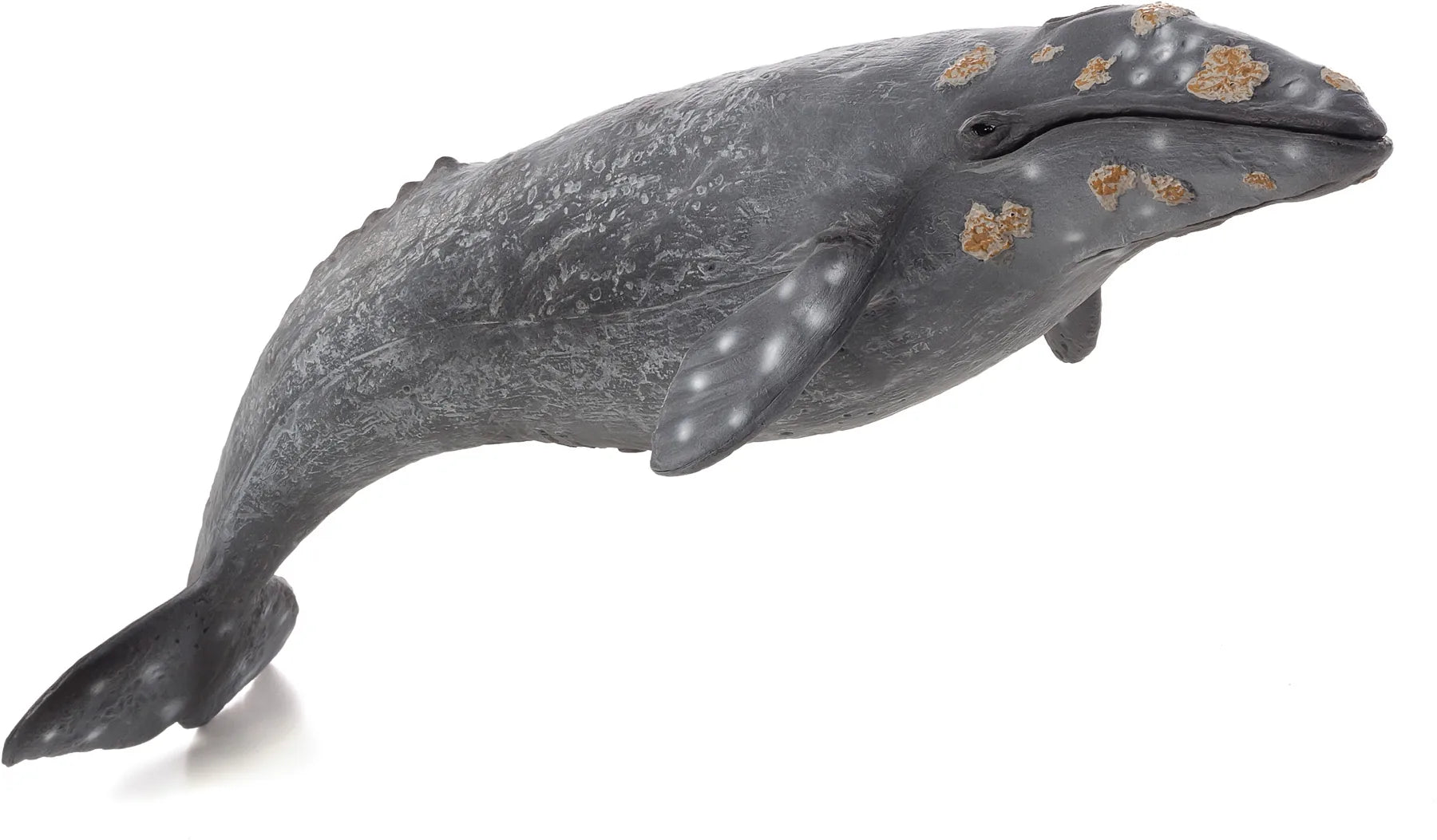 Gråhval legetøjsfigur 27x10x16 cm, plastik, fra 3 år – Mojo