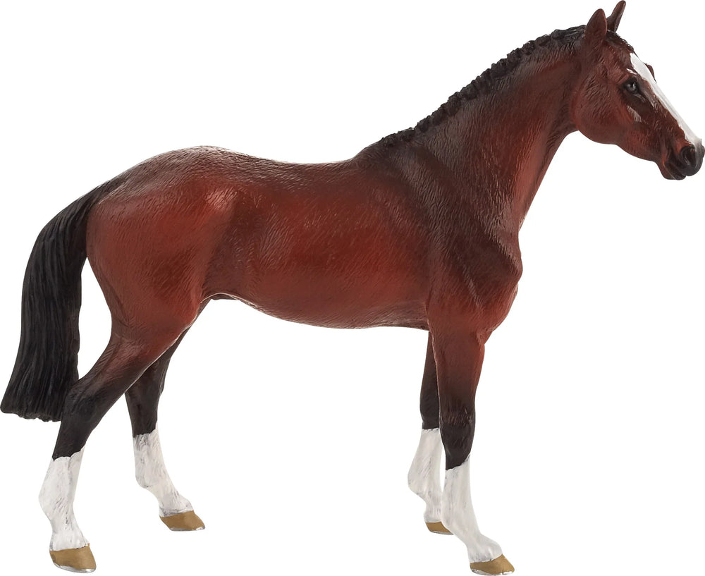 Hollandsk Varmblods Hest – Mojo