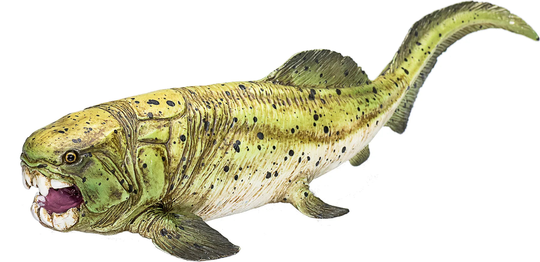 Dunkleosteus legetøjsfigur 19x7x4 cm – realistisk pansret fisk til børn, 3+ år | Mojo
