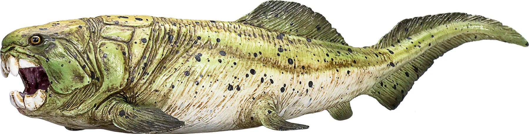 Dunkleosteus legetøjsfigur 19x7x4 cm – realistisk pansret fisk til børn, 3+ år | Mojo