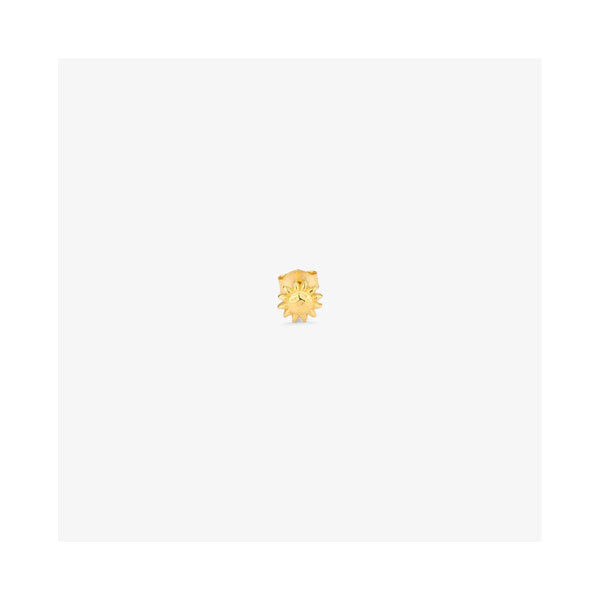 RADIANT RY000155
