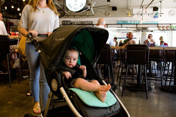 Siddeunderlag Vendbar (2019/2020) – Dawn Grey Mint – Bumbleride