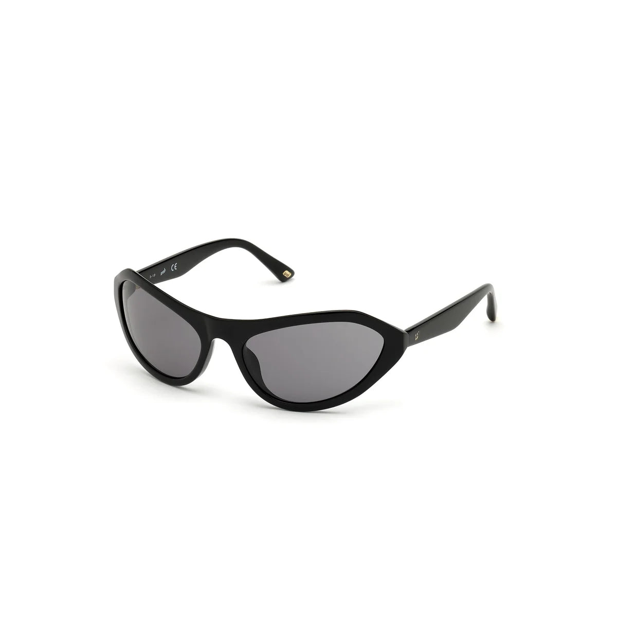 WEB EYEWEAR WE0288-6001A