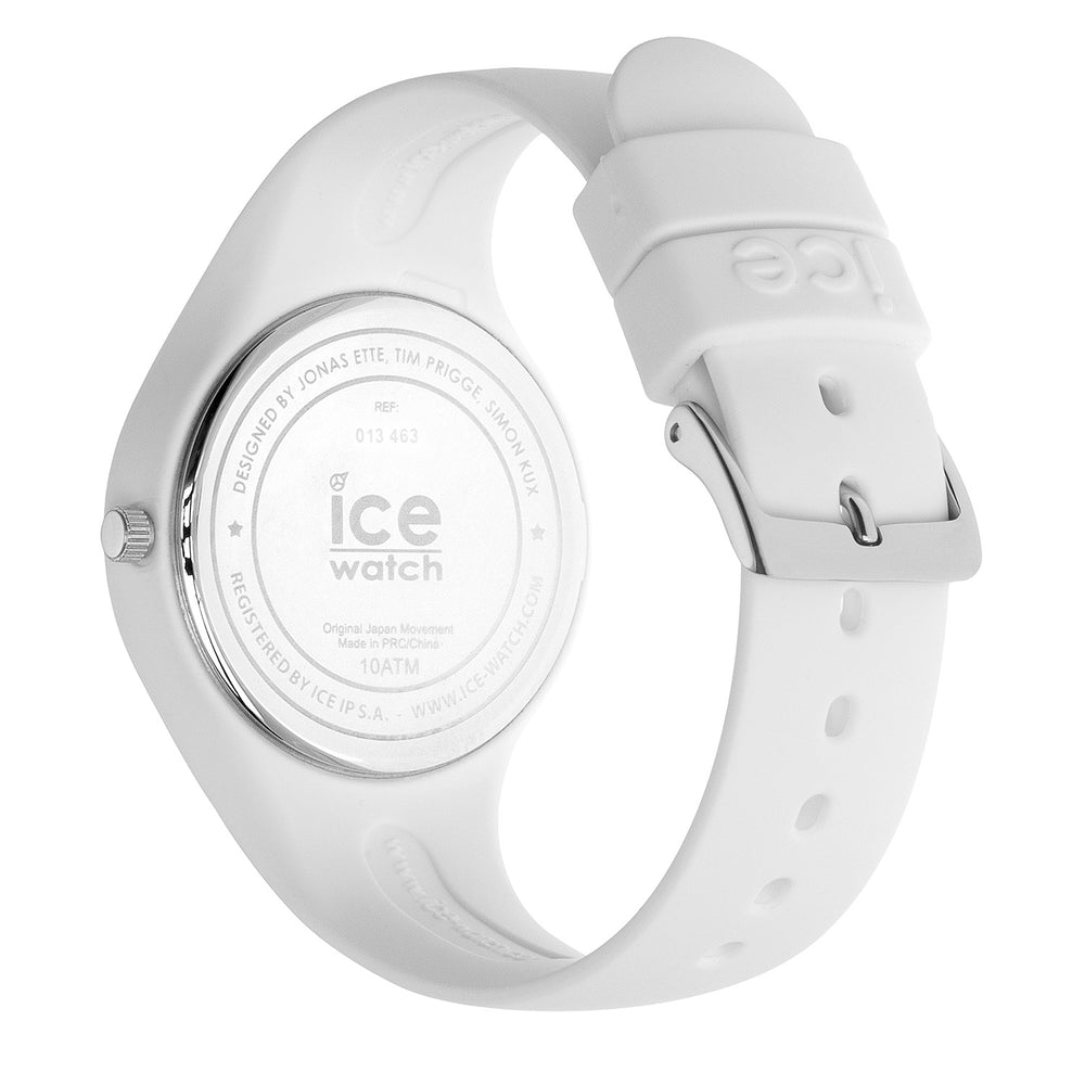 ICE IC013426