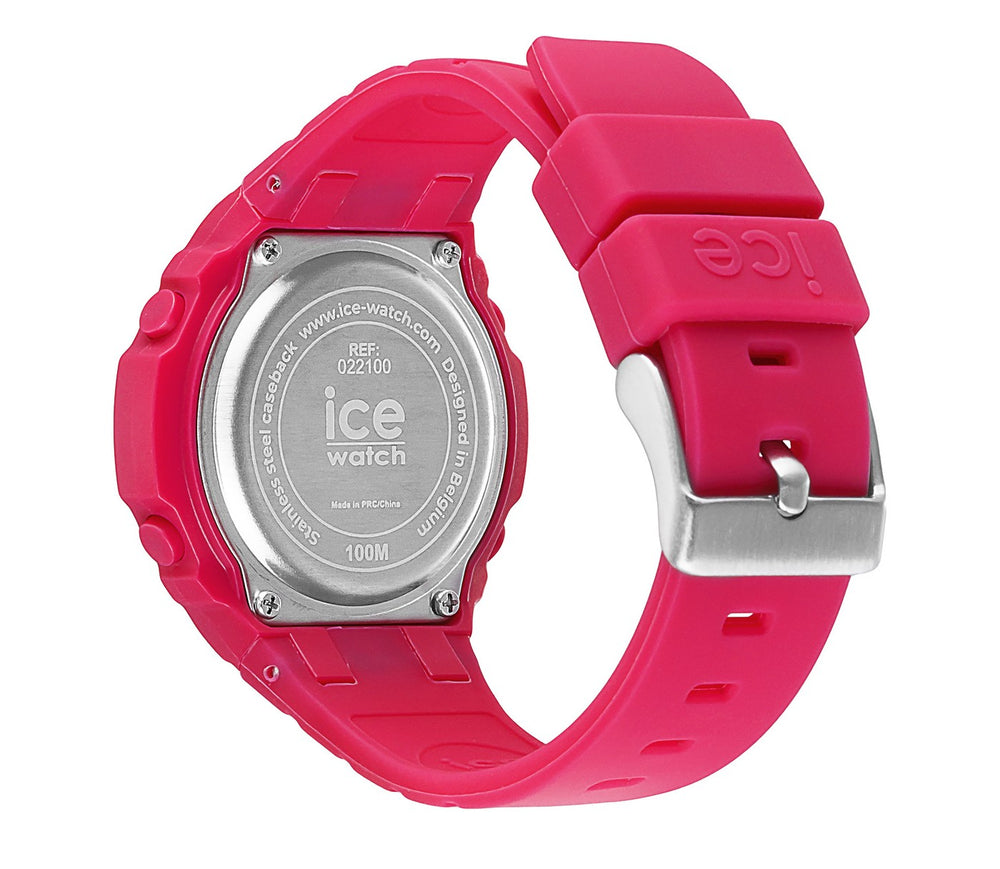 ICE 22100