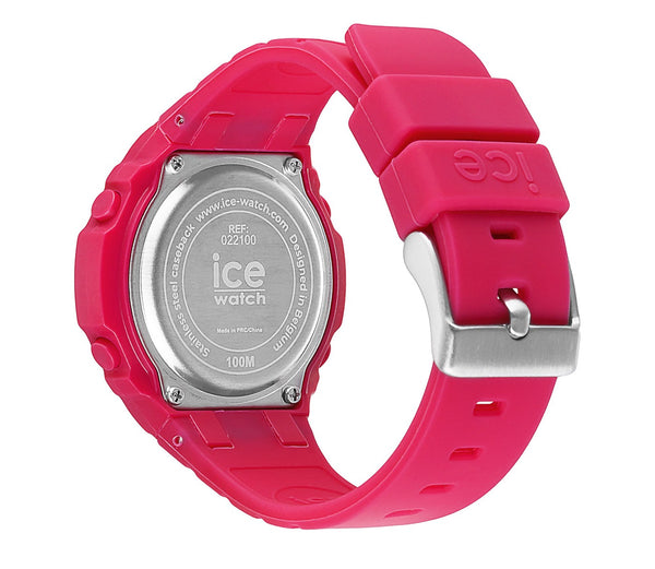 ICE 22100