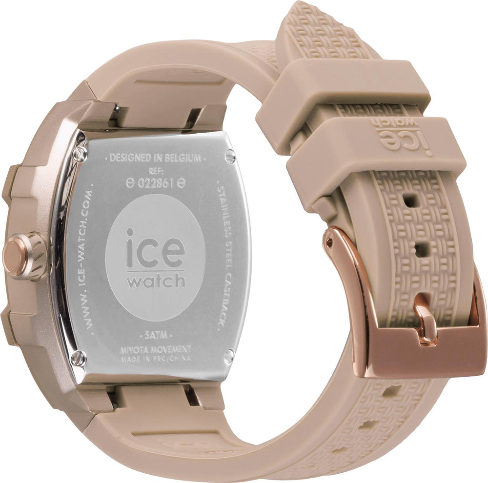ICE 22861