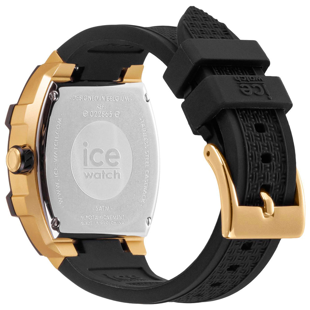 ICE 22865