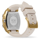 ICE 22869