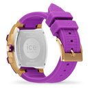 ICE 23289