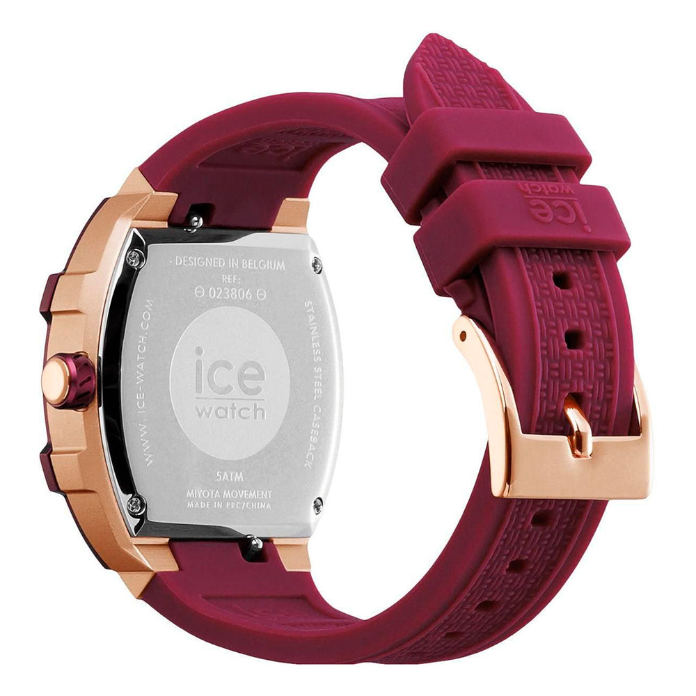 ICE 23806
