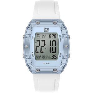 ICE 24567
