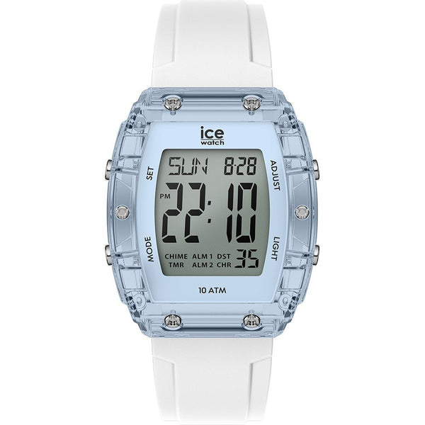 ICE 24567