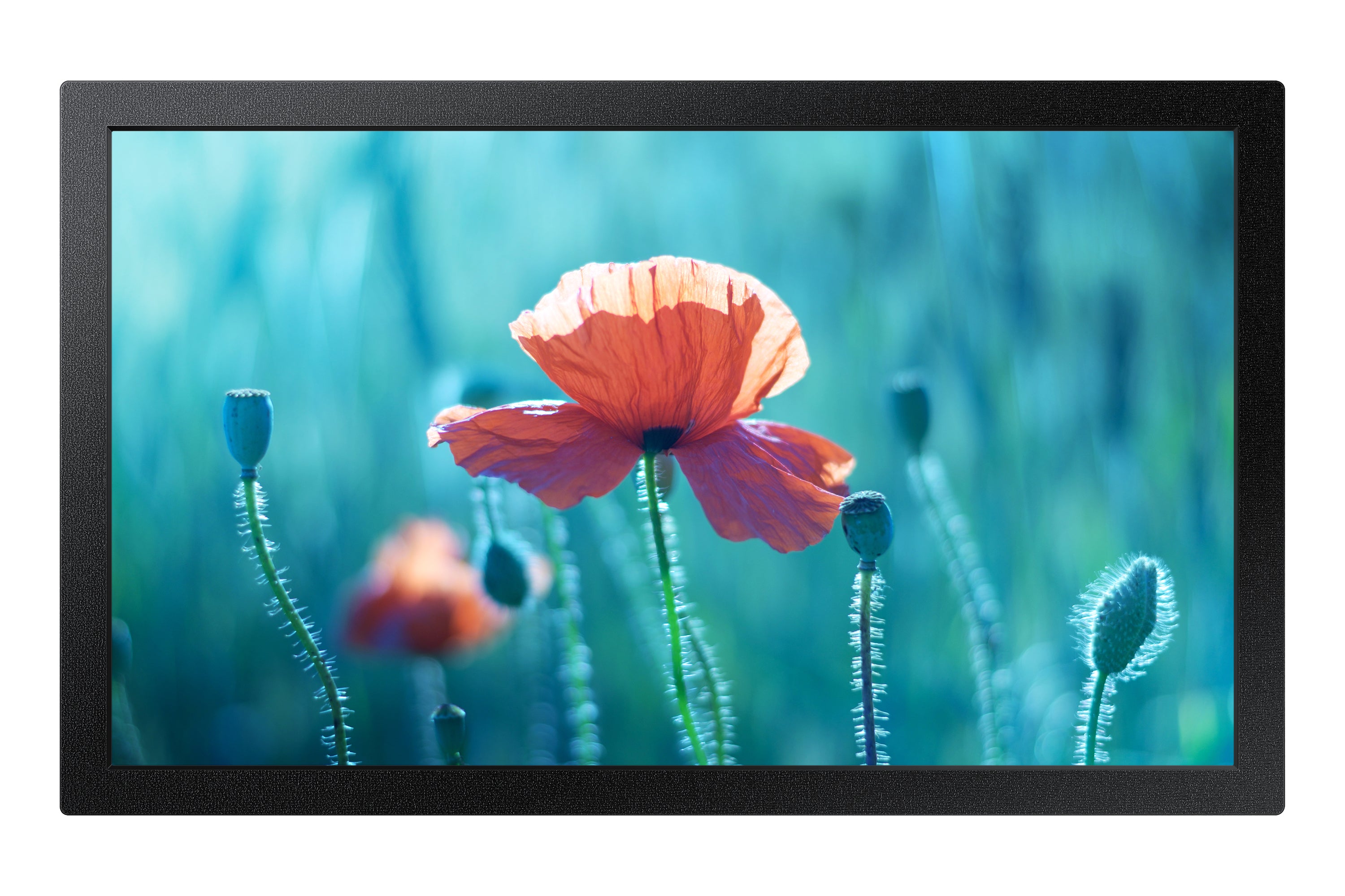 Samsung QB13R-M 13 Digital skiltning 1920 x 1080