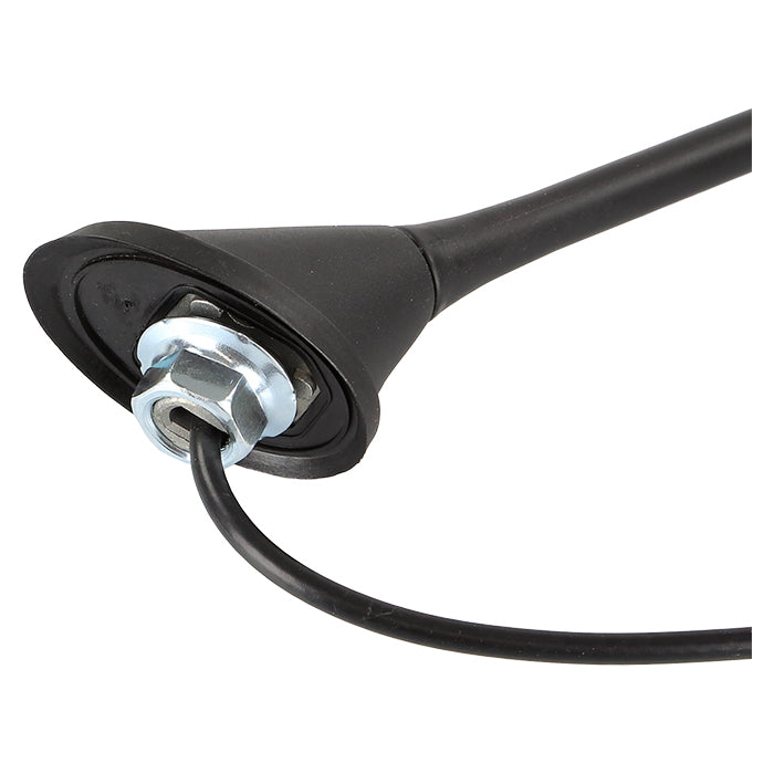 ACV Tag Antenne 16V AM/FM - DIN (m)