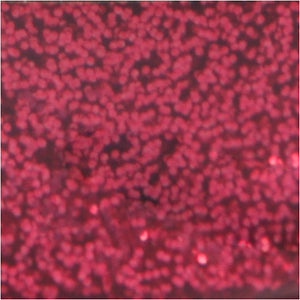 Glitterlim, pink, 25 ml/ 1 fl.