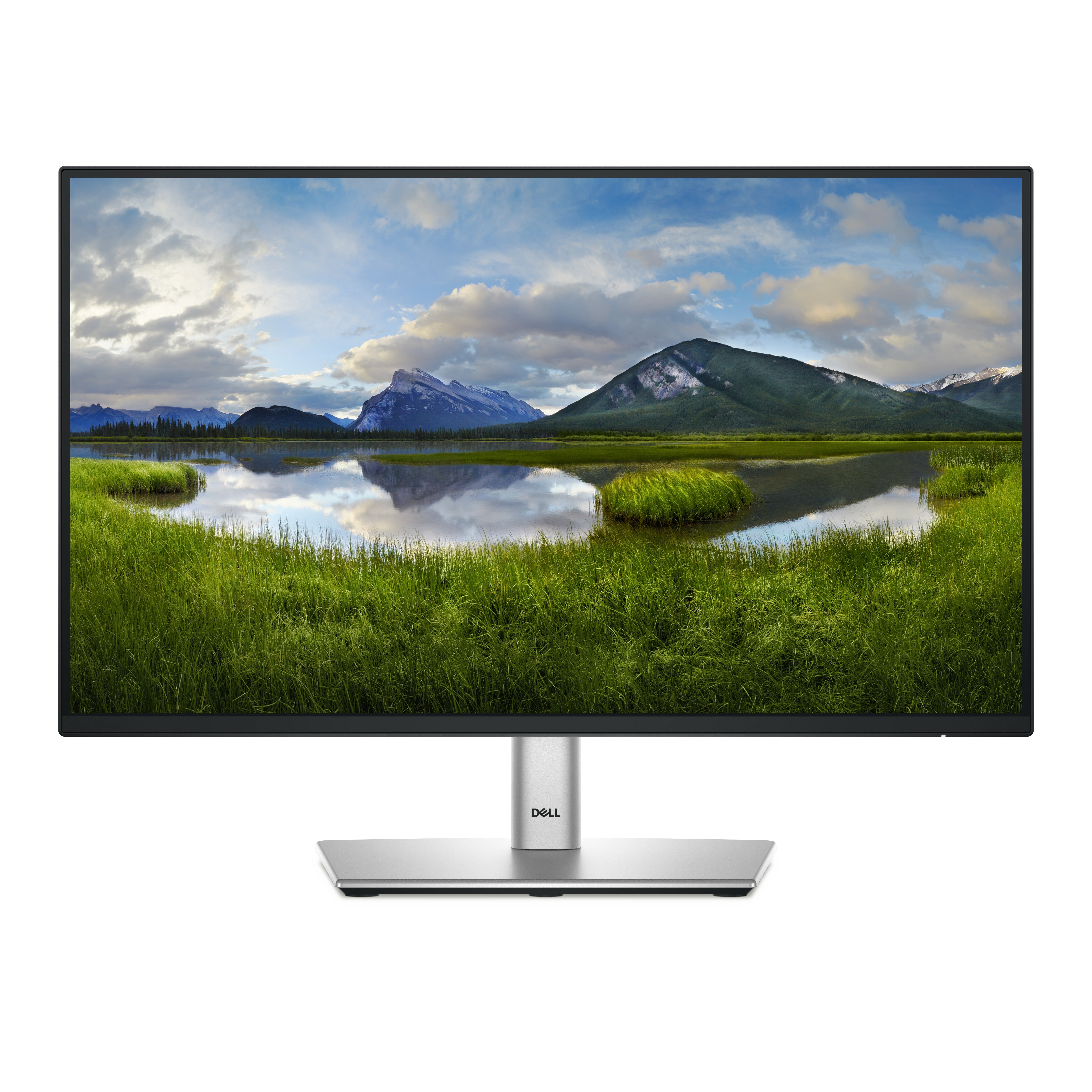 Dell P2225H 22 IPS 1920 x 1080 (Full HD) VGA (HD-15) HDMI DisplayPort 100Hz