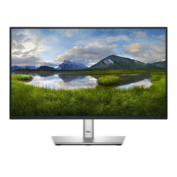 Dell P2225H 22 IPS 1920 x 1080 (Full HD) VGA (HD-15) HDMI DisplayPort 100Hz