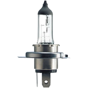 Hs1 extraduty 12v 35/35w px43t