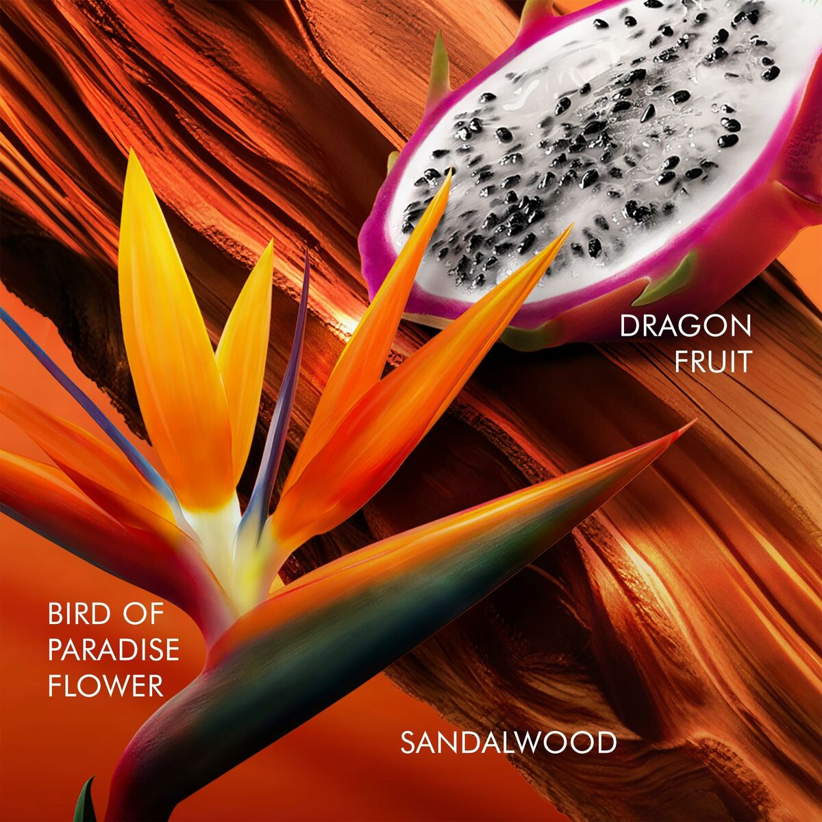 Dameparfume Escada BALI PARADISE 30 ml