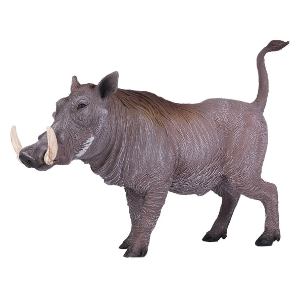 Mojo Vortesvin