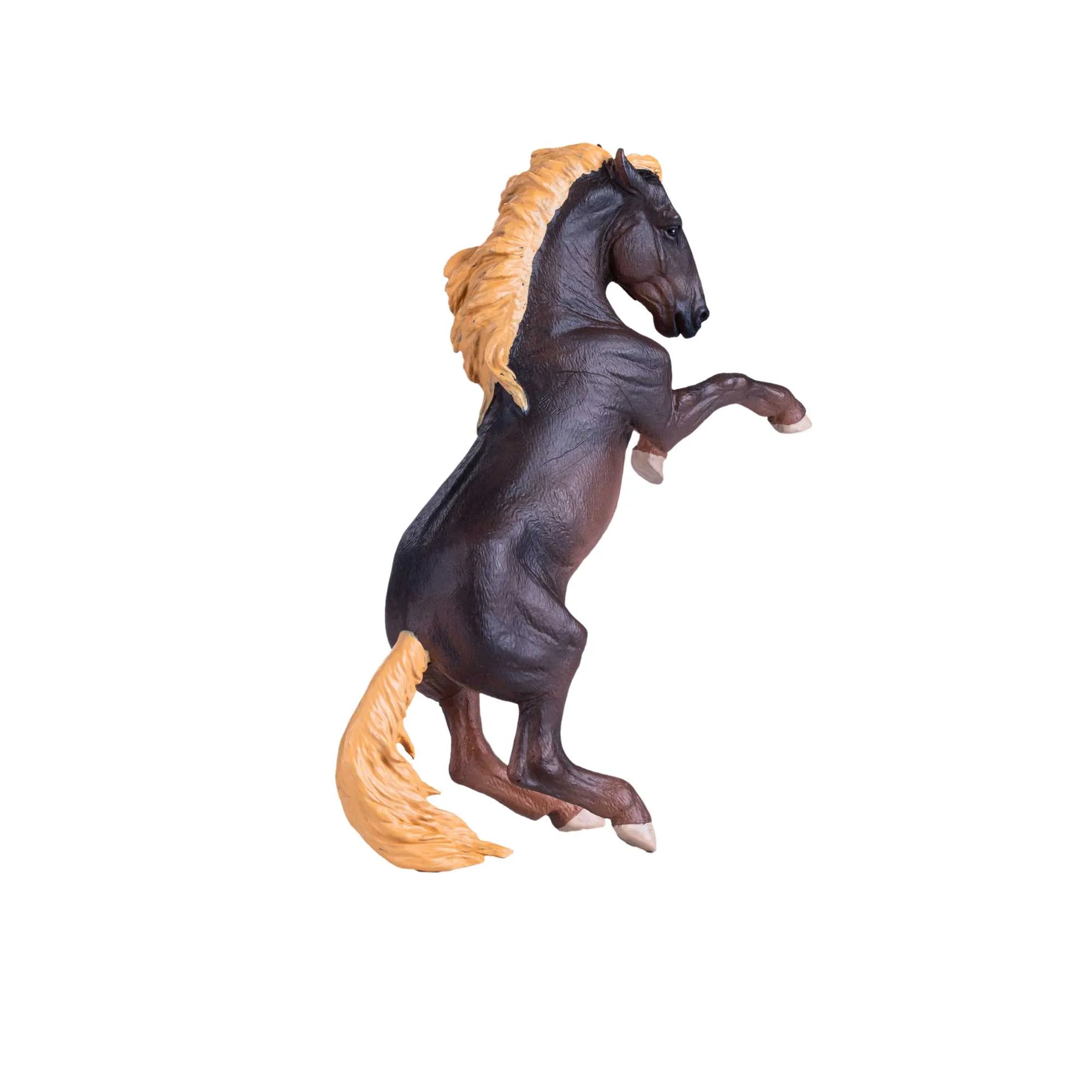 Mojo Brumby hoppe