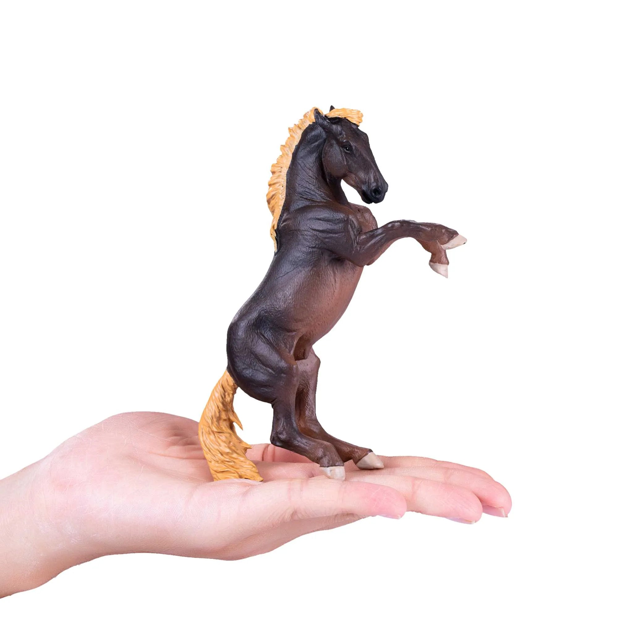 Mojo Brumby hoppe