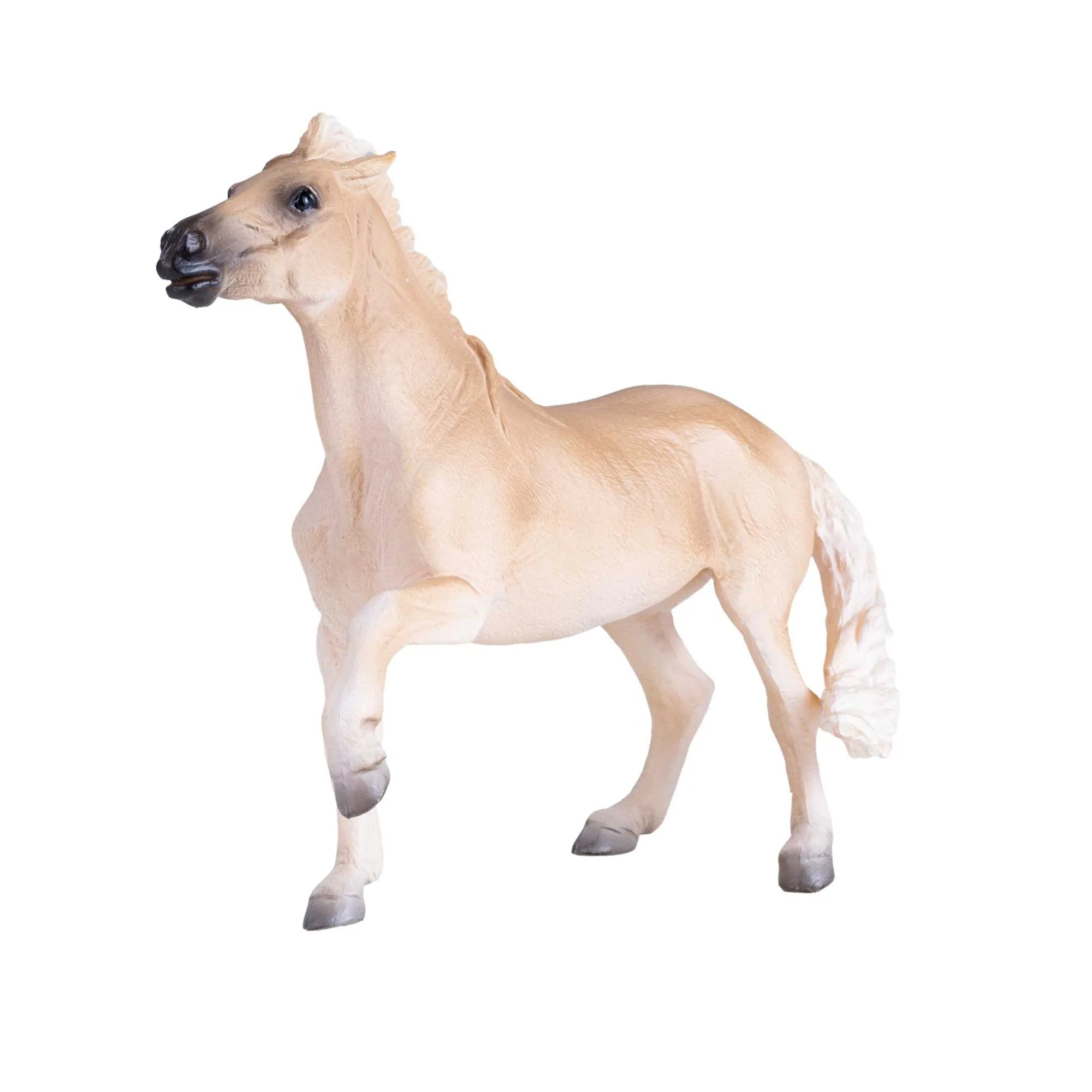 Mojo Brumby hingst