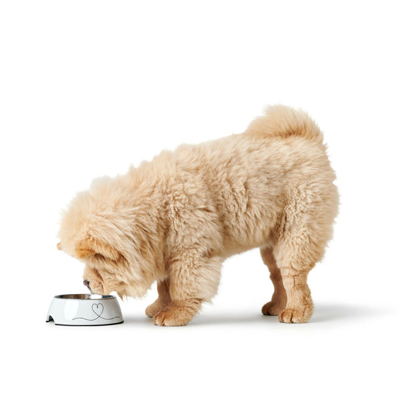 Hund Feeder Hunter Valencia Hvid 350 ml