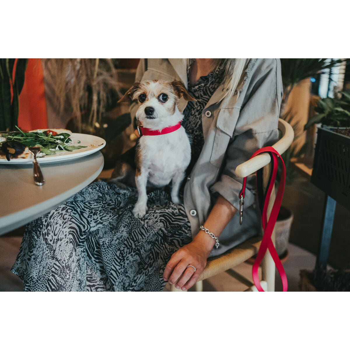 Hundehalsbånd Hunter Convenience 47-55 cm Fuchsia L