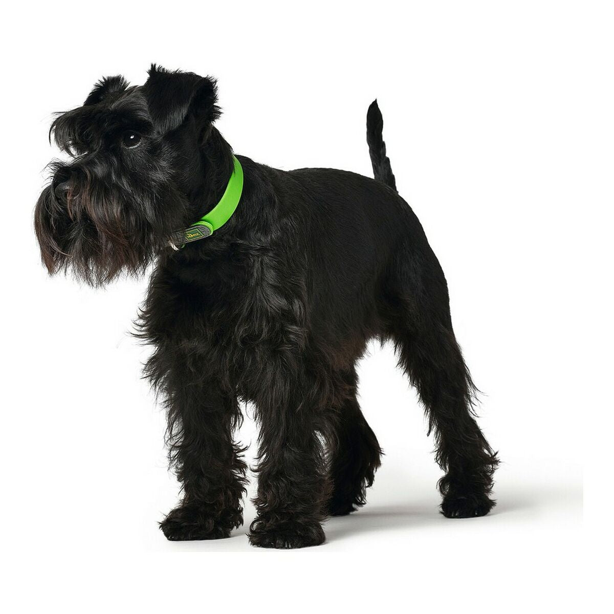 Hundehalsbånd Hunter Convenience Grøn Størrelse M/L (42-50 cm)