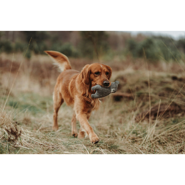 Plush legetøj til hunde Hunter Grå 100 % Genbrug Bjørn