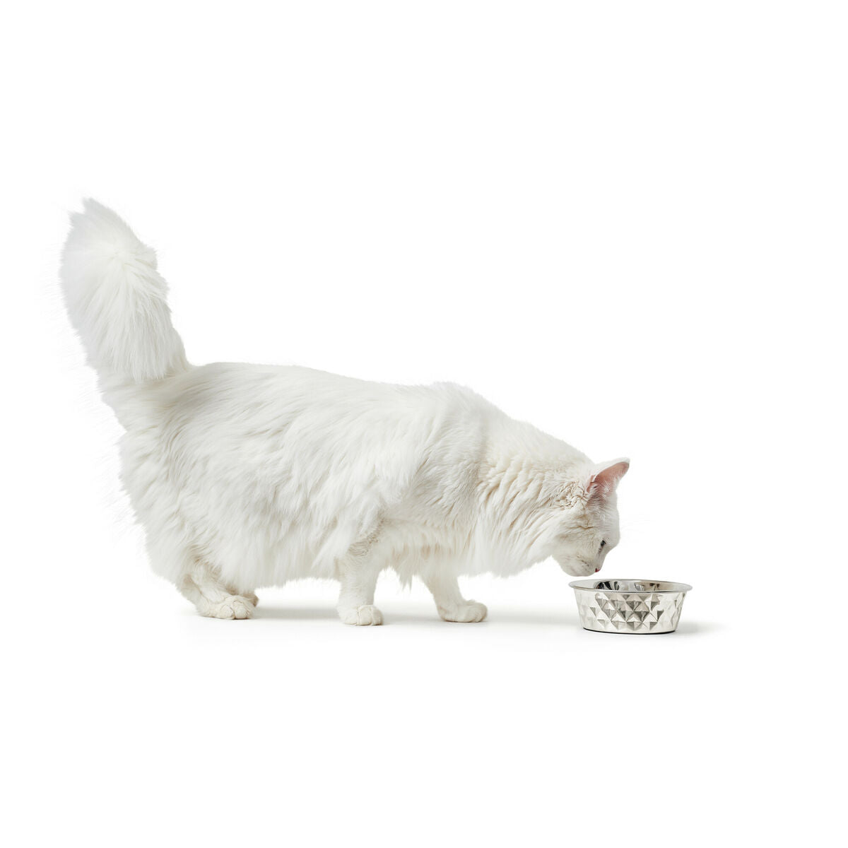 Hund Feeder Hunter Silikone Rustfrit stål 2,6 L