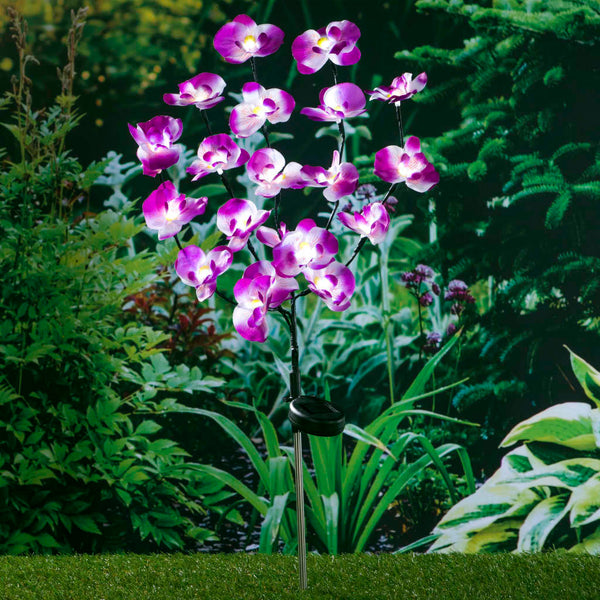 Hi Led-Solcellelampe 75 Cm Orkidé