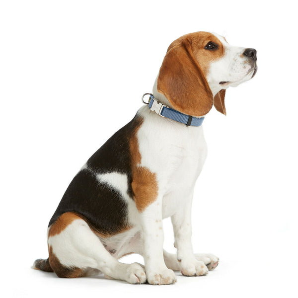 Hundehalsbånd Hunter VARIO BASIC Blå M 30-45 cm