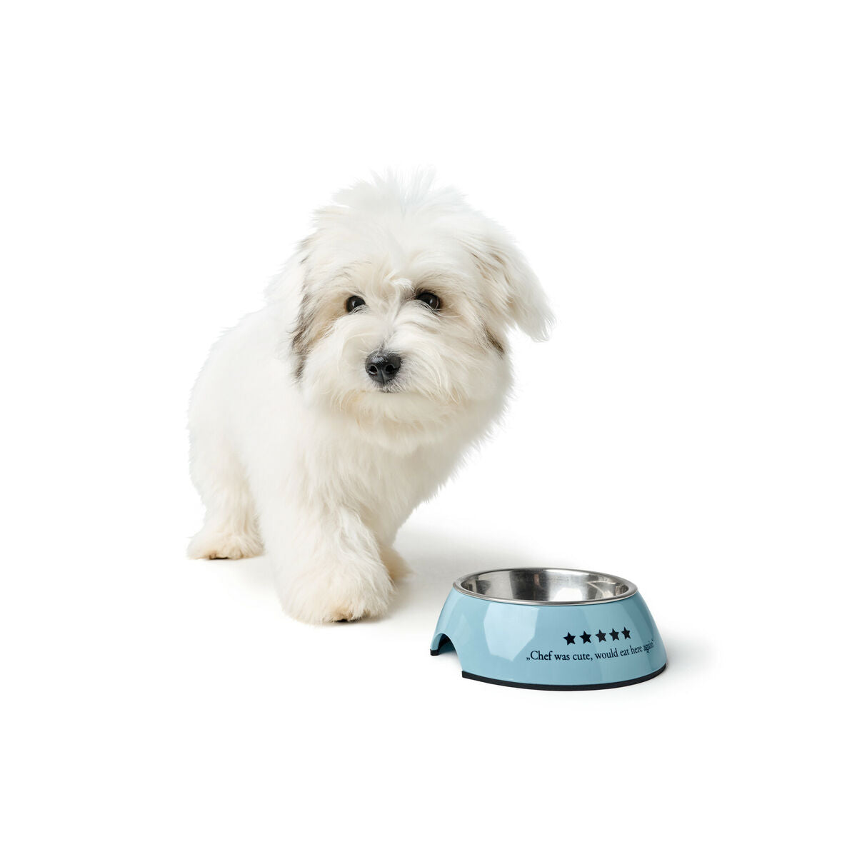 Hund Feeder Hunter Mayfair Blå 700 ml