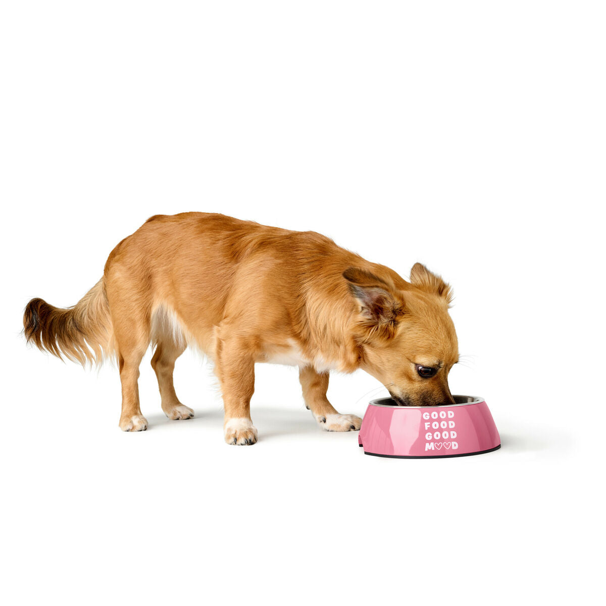 Hund Feeder Hunter CHESTER Pink 700 ml