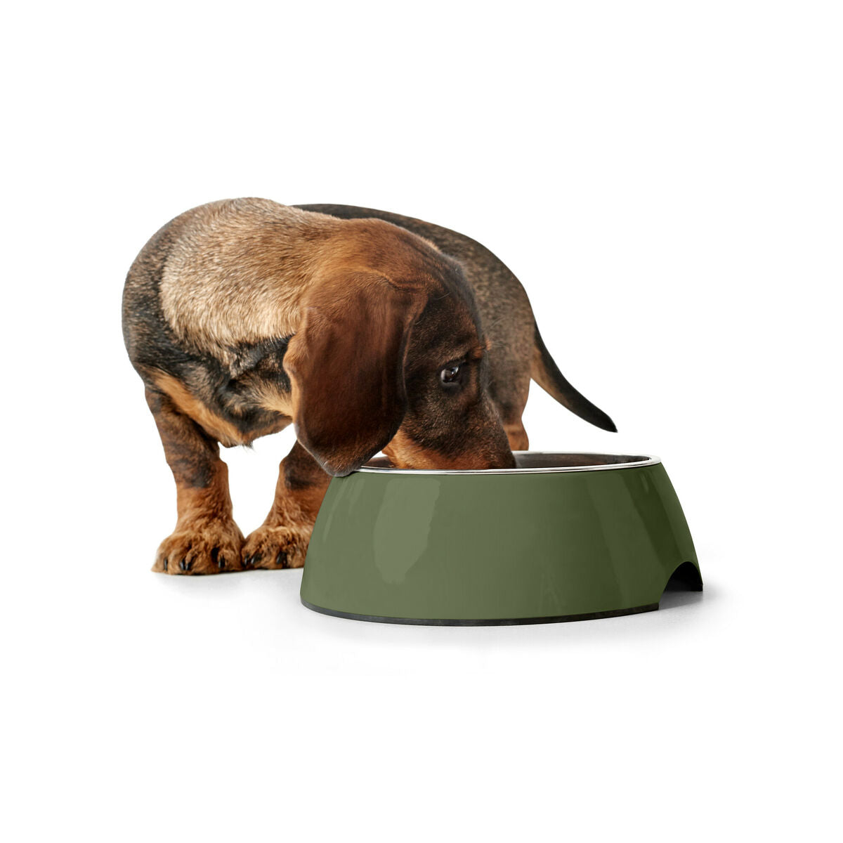 Hund Feeder Hunter Grøn 160 ml