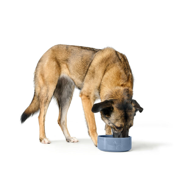 Hund Feeder Hunter OSBY GLAZED Blå Keramik 2,5 L