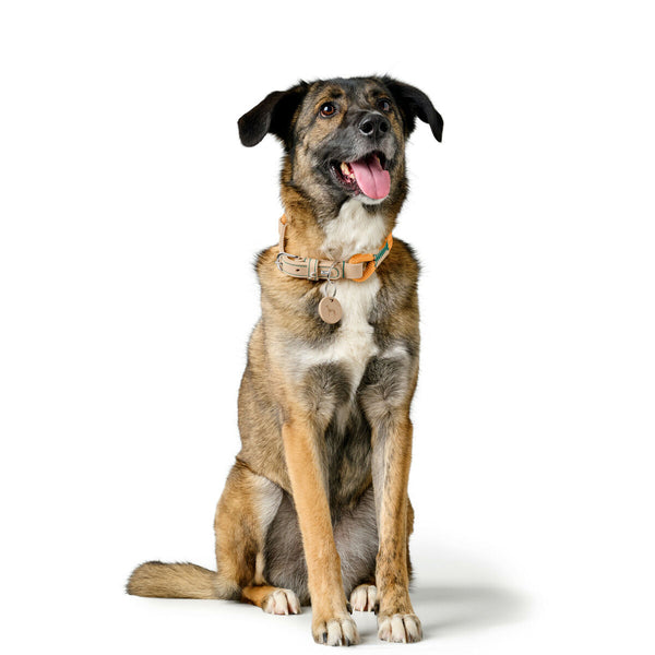 Hundehalsbånd Hunter Malia Orange 12 40-49 cm