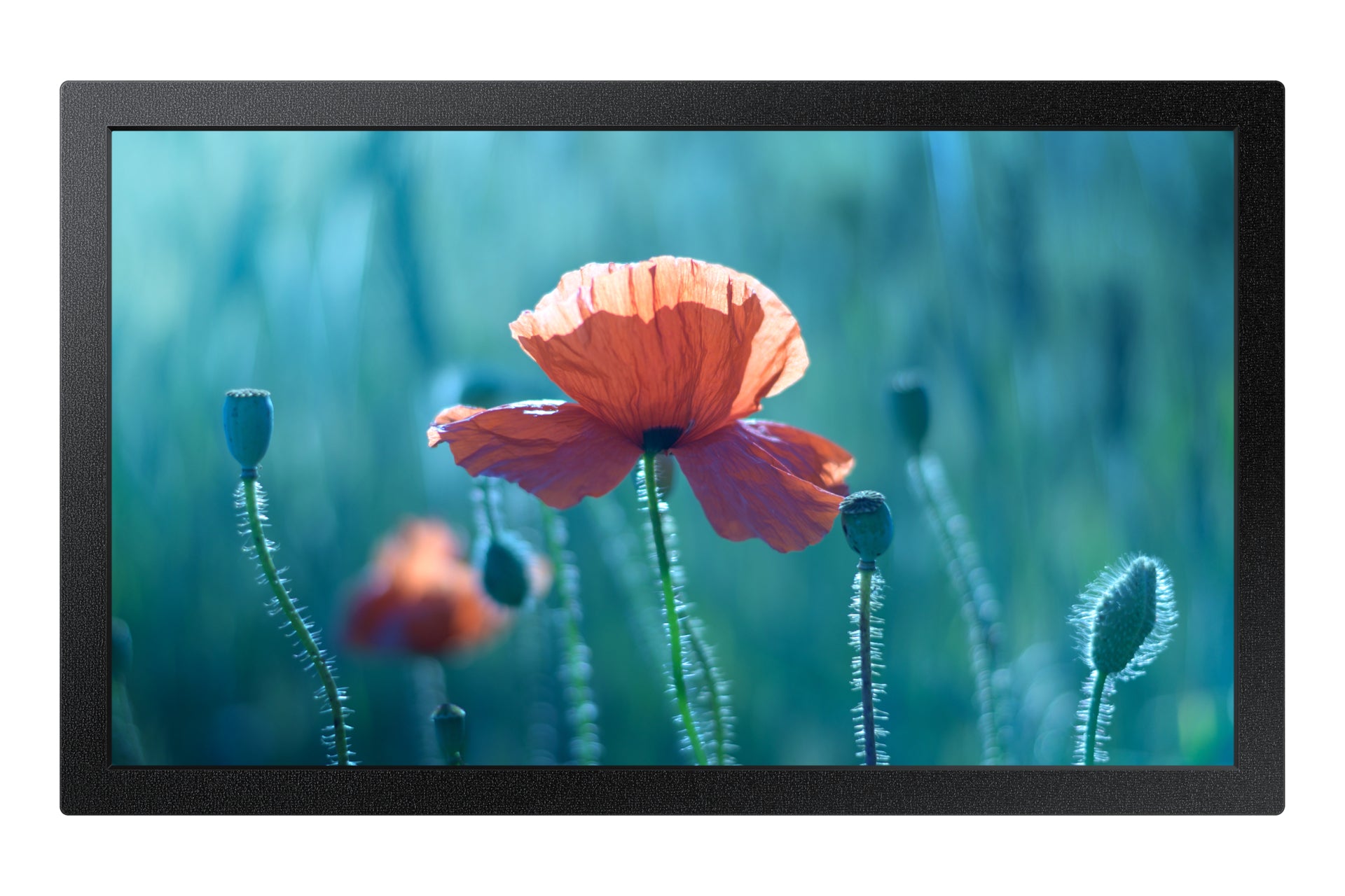 Samsung QB13C 33 cm (13) LCD Wi-Fi 500 cd/m² Fuld HD Sort 16/7
