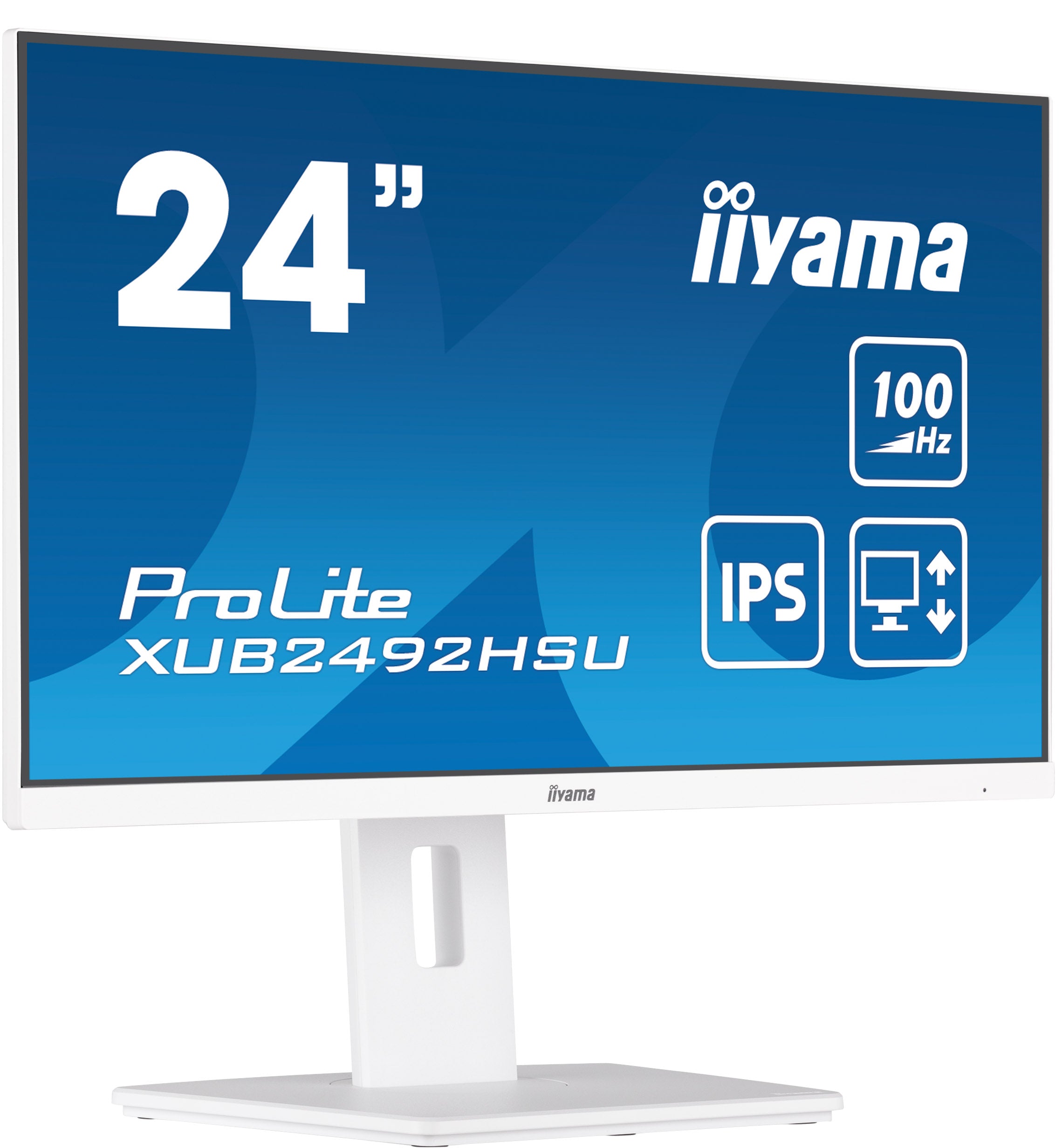 iiyama ProLite XUB2492HSU-W6 24 IPS 1920 x 1080 (Full HD) HDMI DisplayPort 100Hz