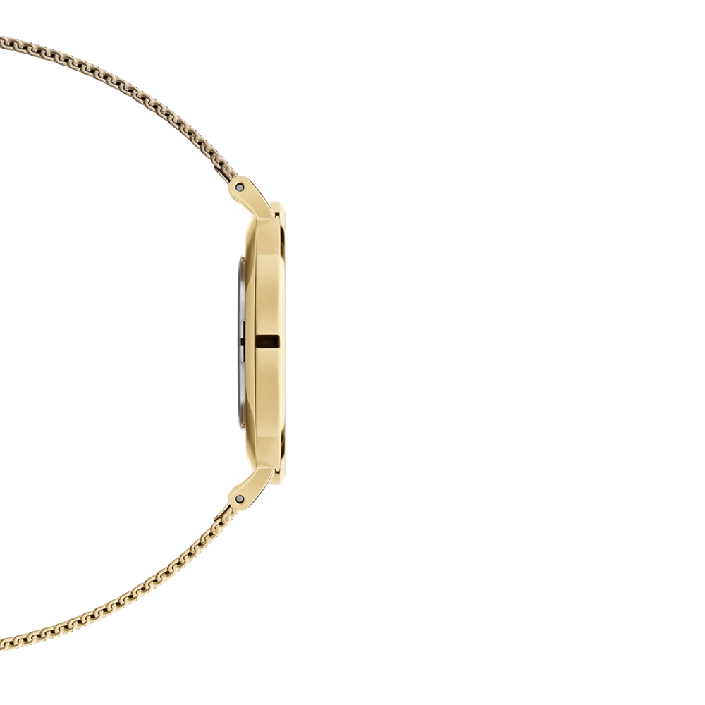 Daniel Wellington dameur Dw00100346