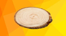 Træskiver