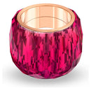 SWAROVSKI 5508718
