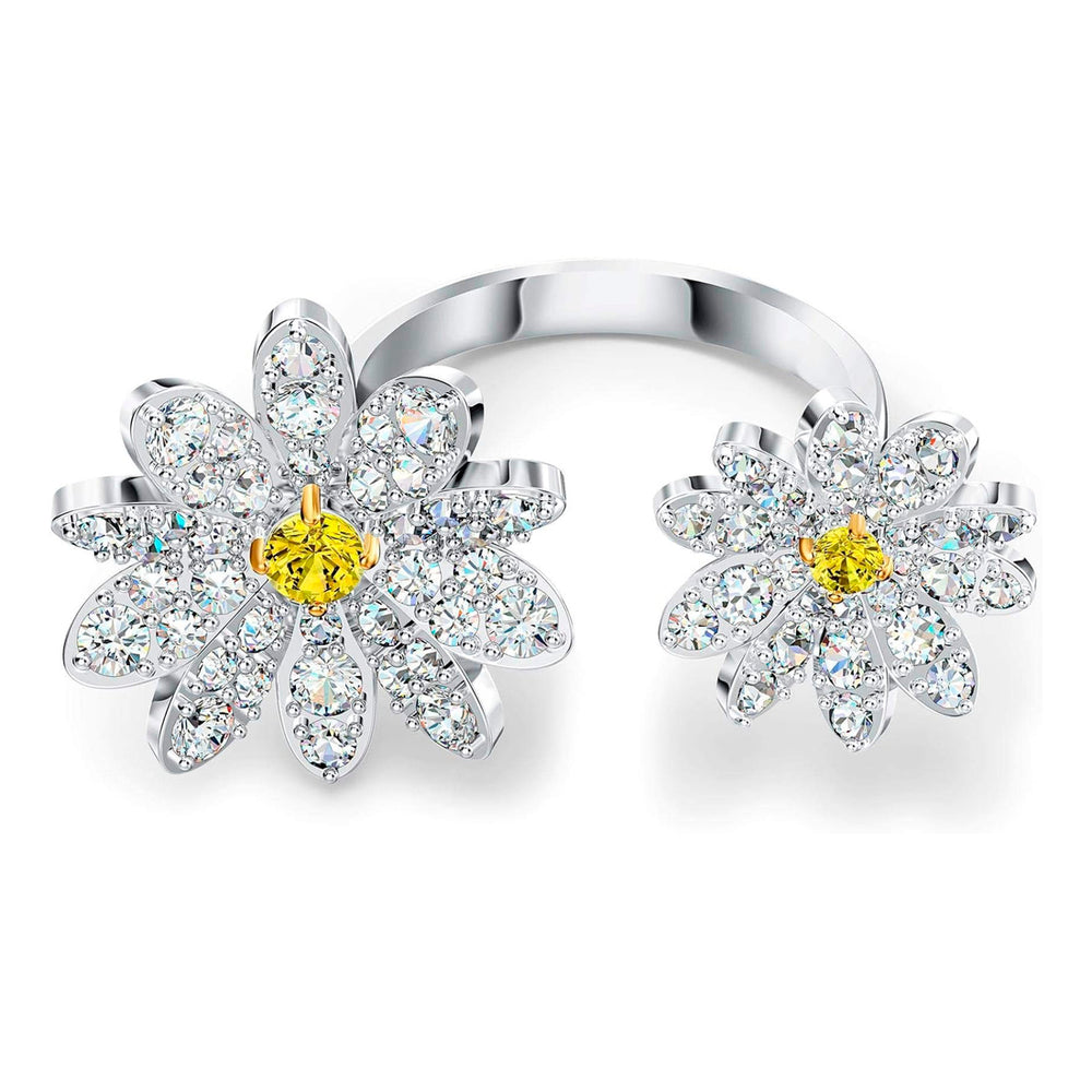 SWAROVSKI 5534948