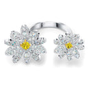 SWAROVSKI 5534948