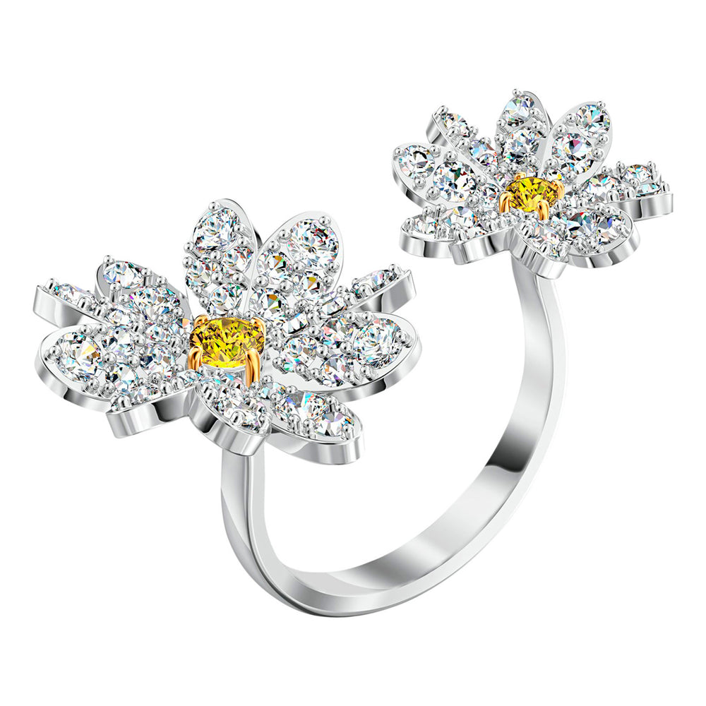SWAROVSKI 5534948