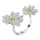SWAROVSKI 5534948